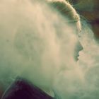 rauch silhouette