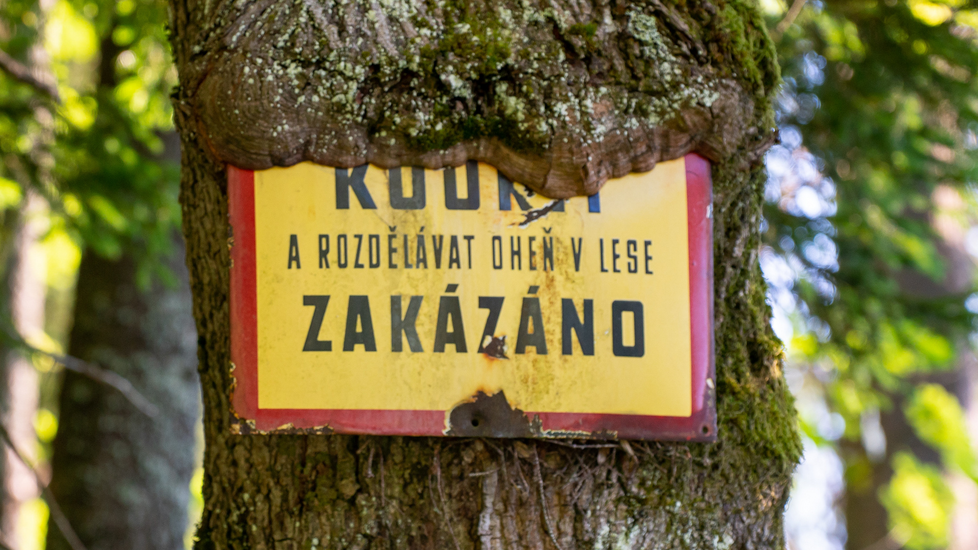 Rauchen und Feuermachen im Wald verboten