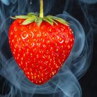 Rauchende Erdbeere