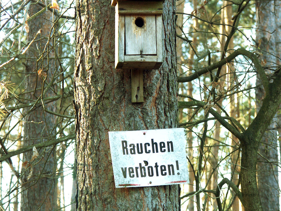 rauchverbot im Vogelhaus