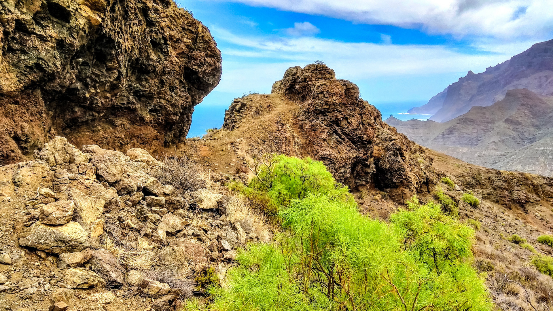 raue Bergwelt - La Gomera