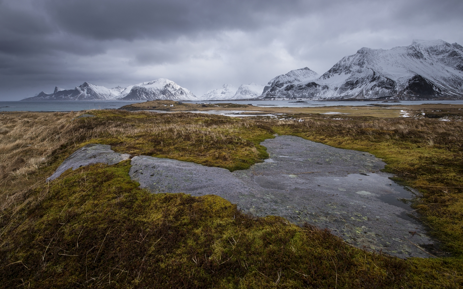 raue Lofoten