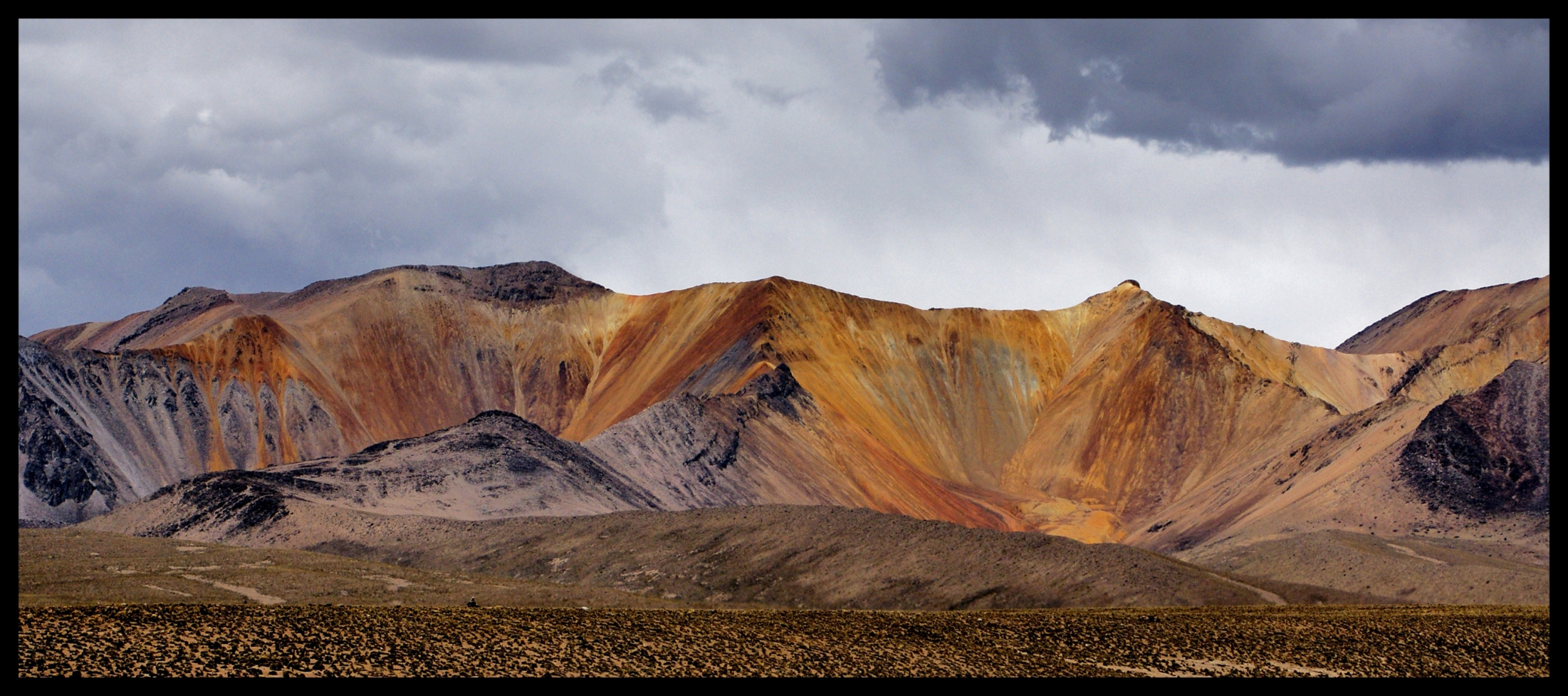 Raue Schönheit des Altiplano (Chile)