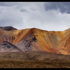 Raue Schönheit des Altiplano (Chile)