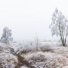 Raueis-Vennlandschaft Panorama