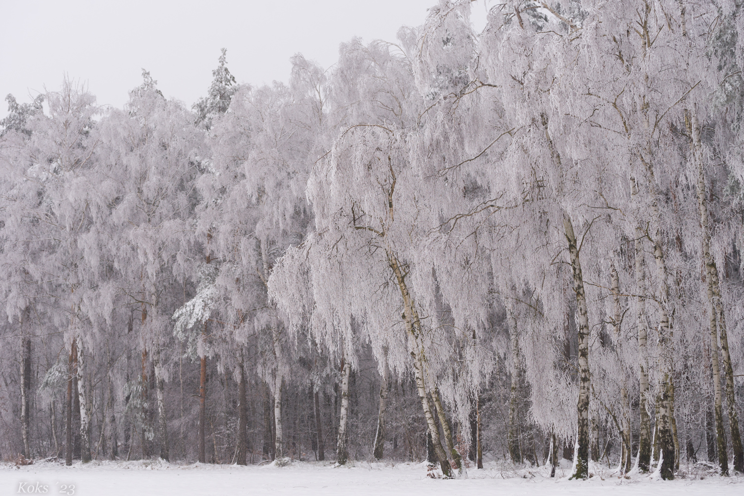 Raues Wetter