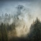 Raues Wetter im Schwarzwald