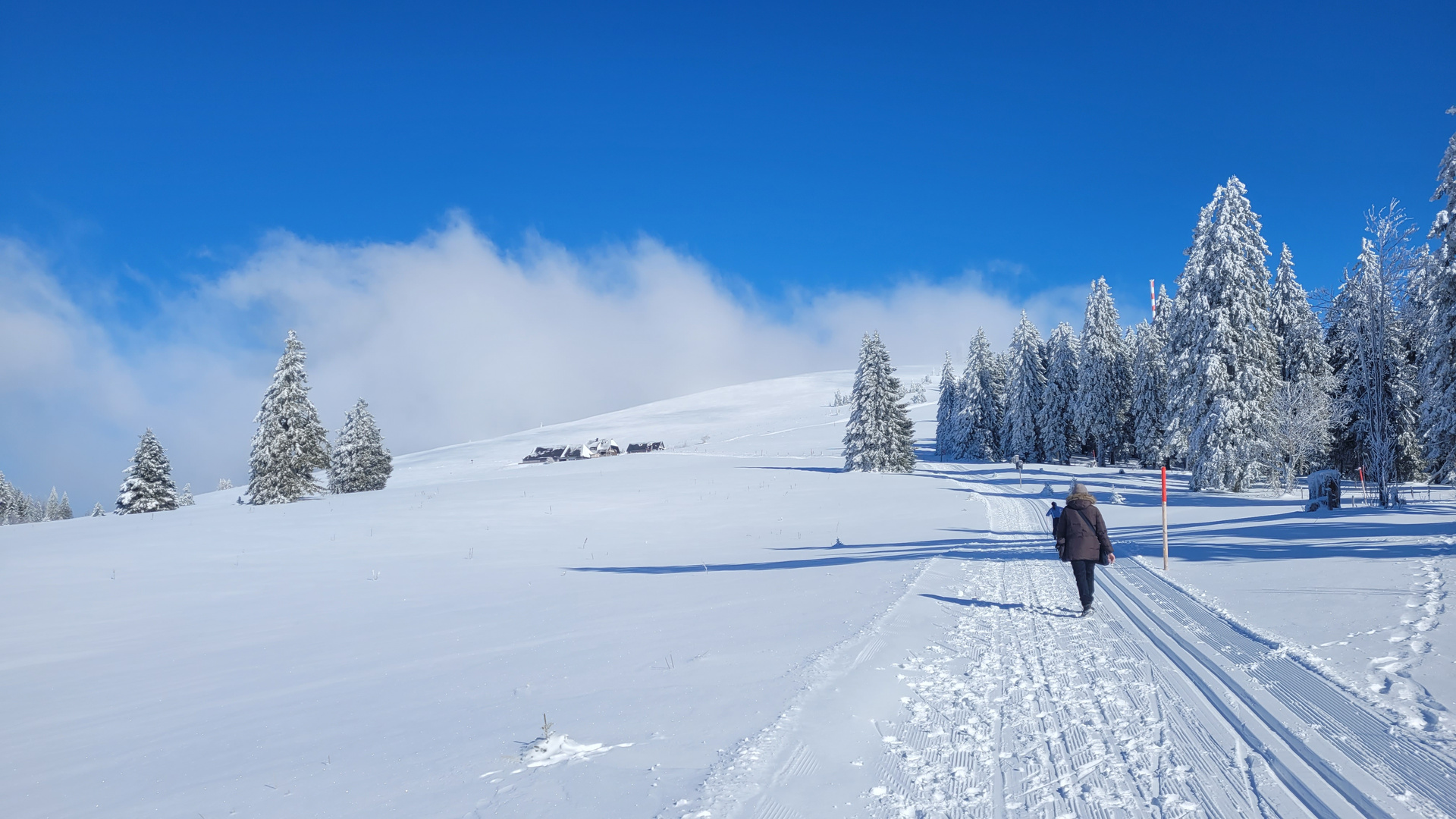 Rauf geht's zum Feldberg