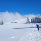 Rauf geht's zum Feldberg