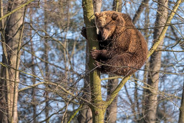 Rauf war ja einfach, aber ...