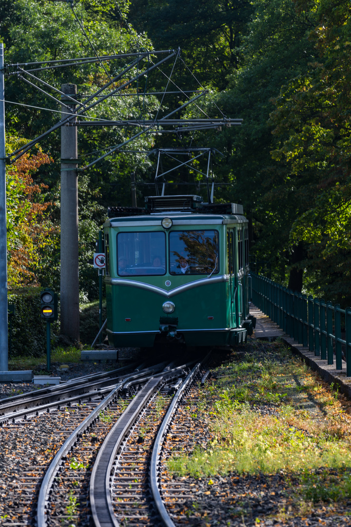 Rauf zum Drachenfels