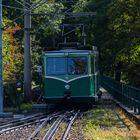 Rauf zum Drachenfels