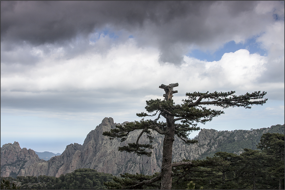 Rauhe Bergwelt