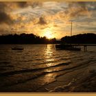 Rauhe, romantische Natur der Schlei