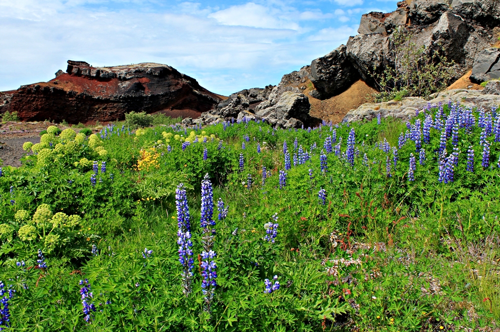 Rauðhólar (Reykjavíkurborg) II