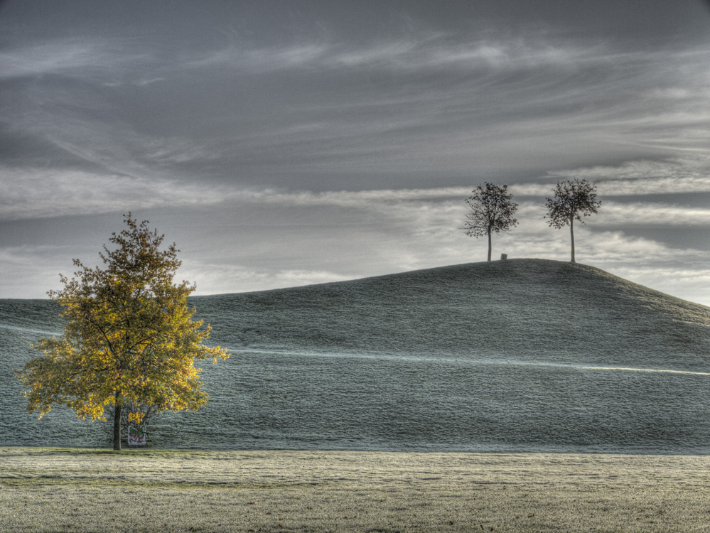 Rauhreif 1 Foto &amp; Bild | landschaft, Äcker, felder &amp; wiesen, all