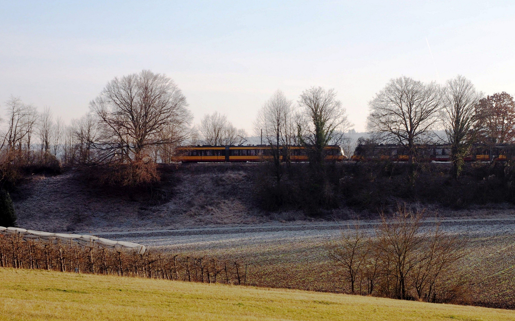 Rauhreif am Bahndamm