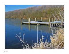 Rauhreif am Breidensteiner See