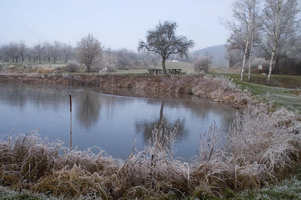 Rauhreif am Fischteich