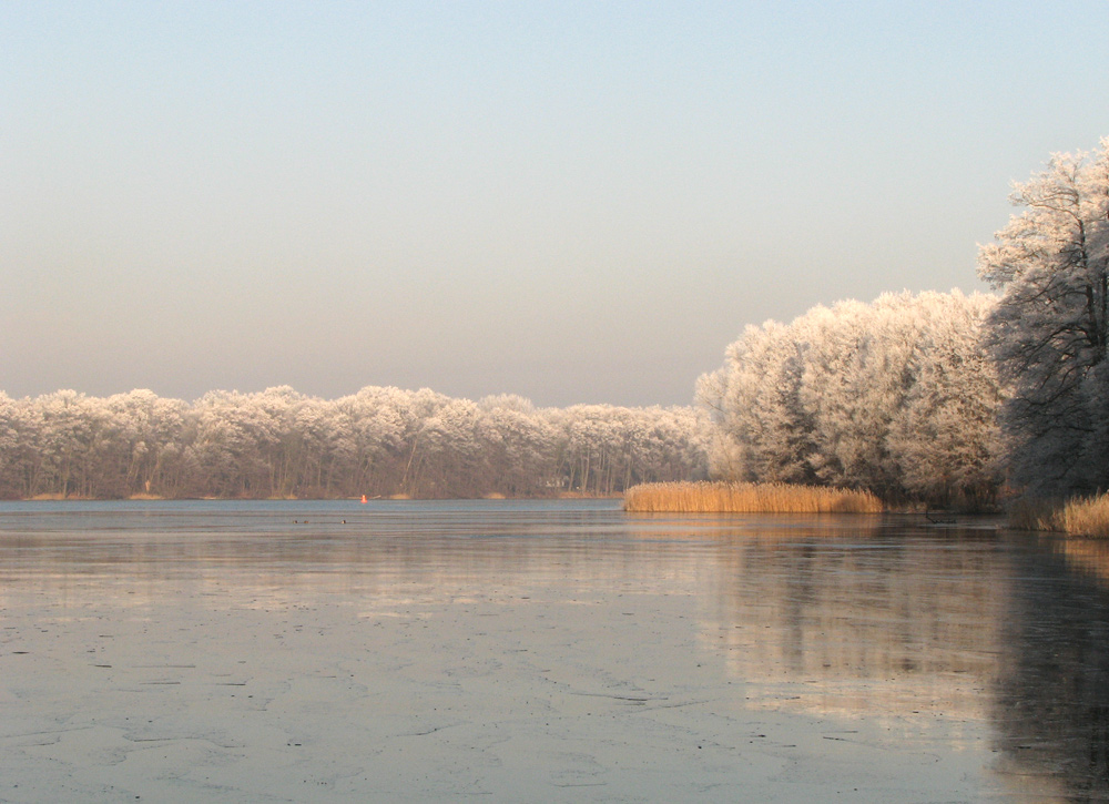 Rauhreif am Lehnitzsee