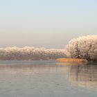 Rauhreif am Lehnitzsee