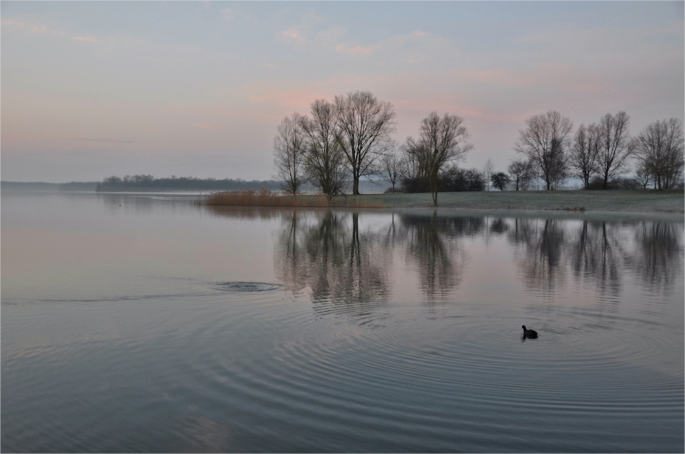 Rauhreif... am  MORGEN