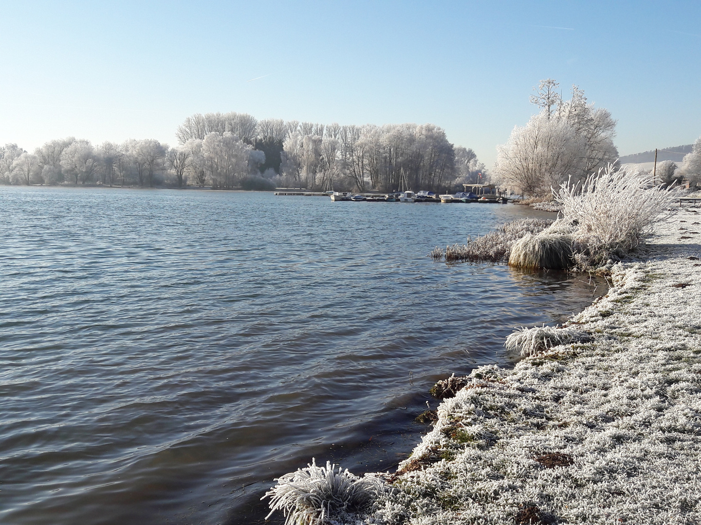 Rauhreif am See.