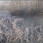 Rauhreif am Teich in Bochum-Werne