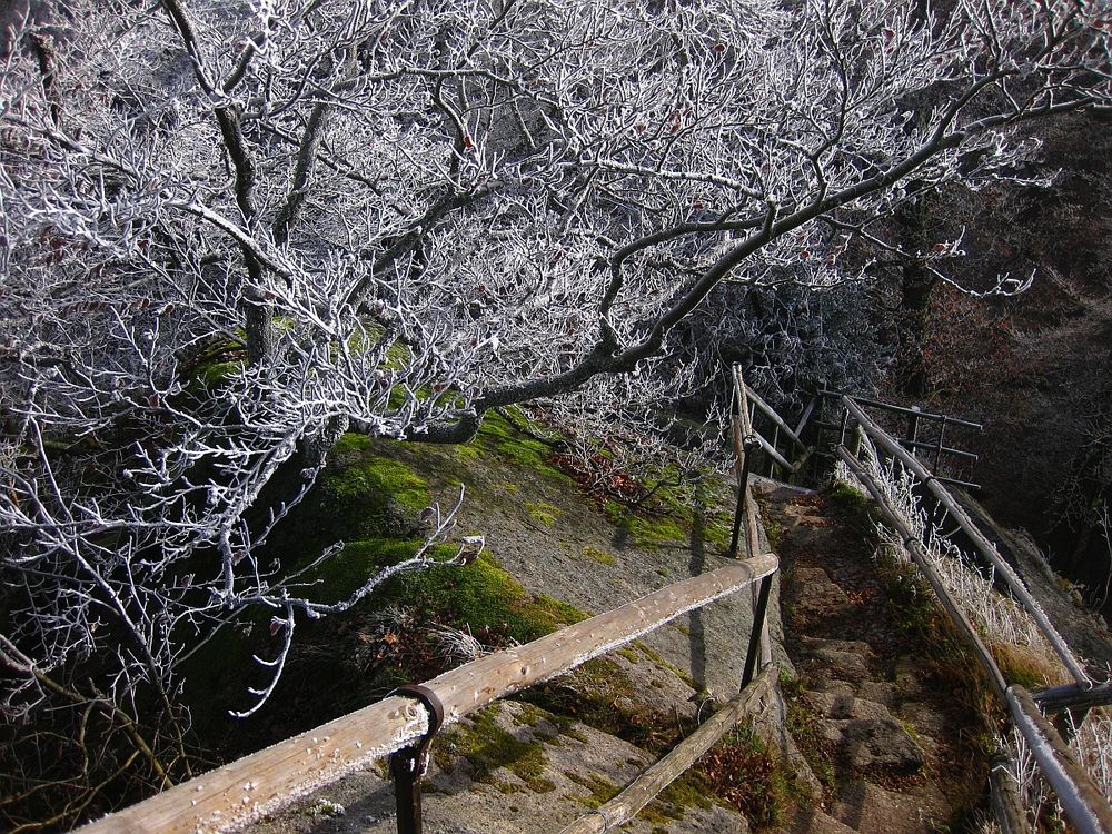 Rauhreif am Waldstein