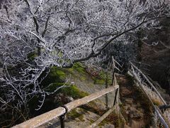 Rauhreif am Waldstein