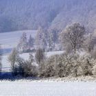 Rauhreif am Wiehengebirge