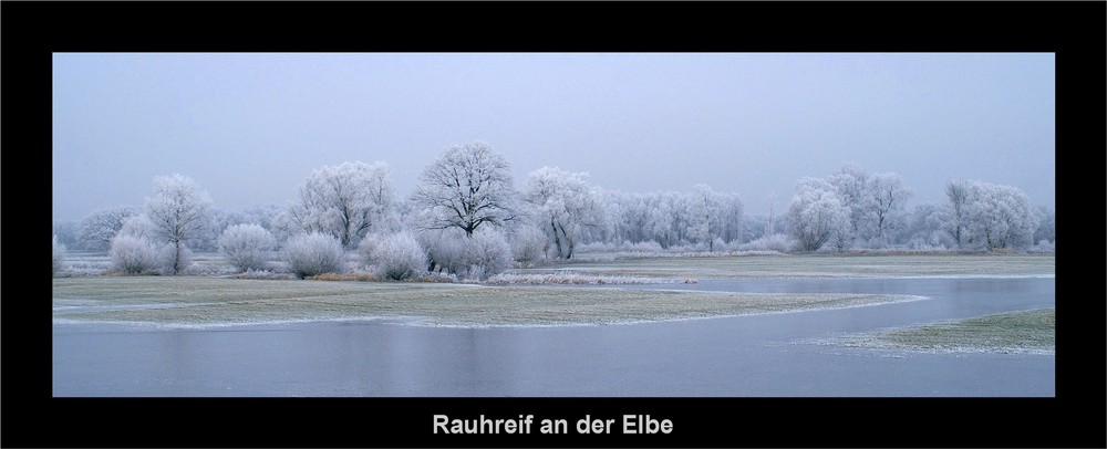 Rauhreif an der Elbe