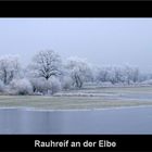 Rauhreif an der Elbe