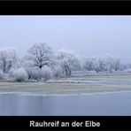 Rauhreif an der Elbe