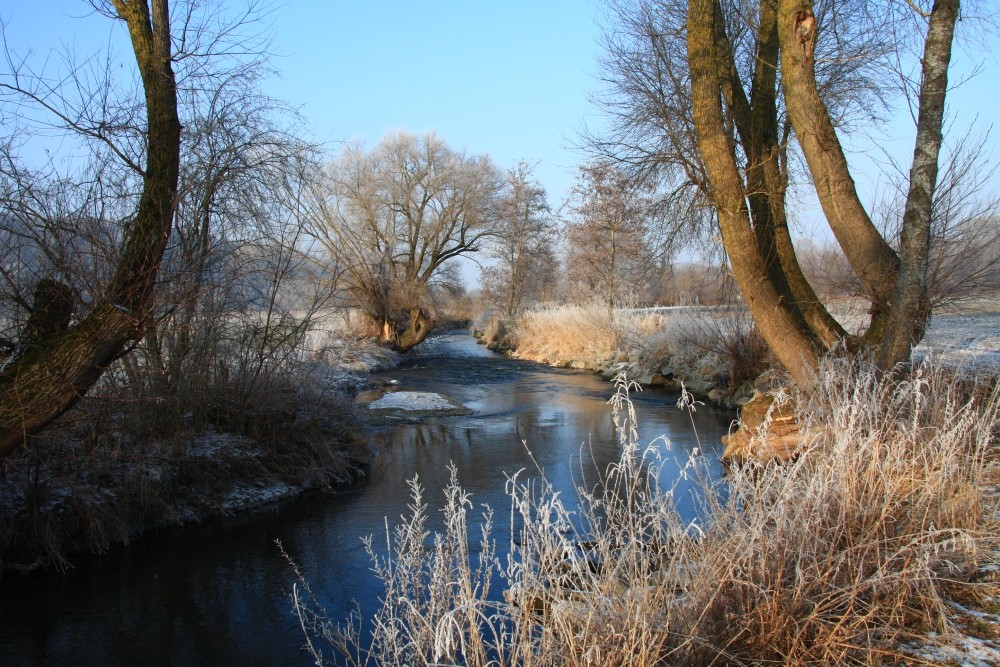 Rauhreif an der Kleinen Mindel