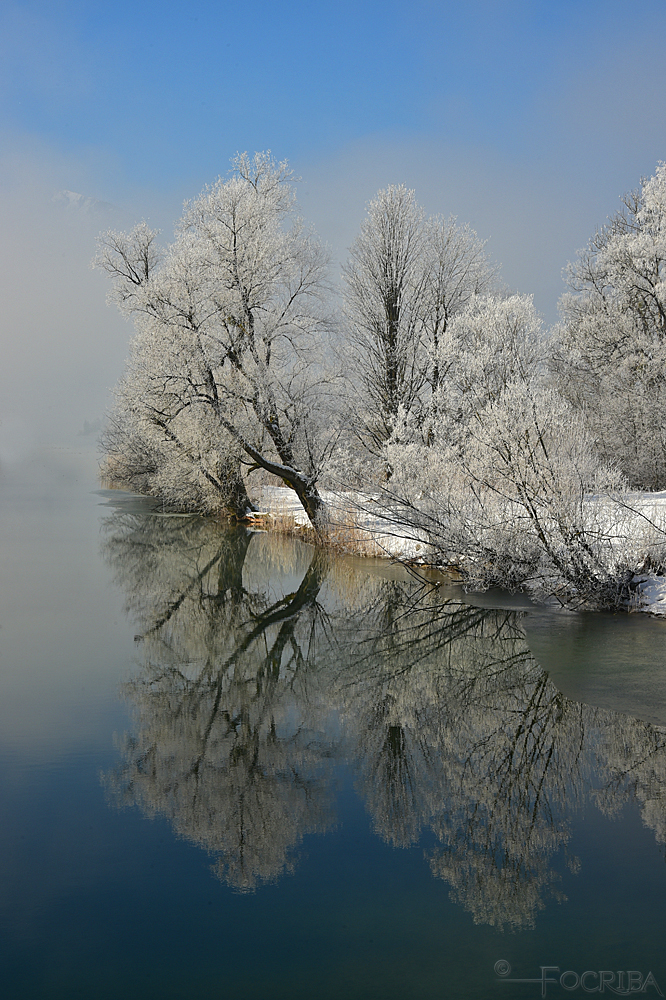 Rauhreif an der Loisach