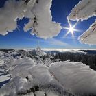 Rauhreif auf dem Herzogenhorn im Schwarzwald