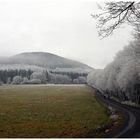 Rauhreif auf der Röderburg bei Oberalba Rhön