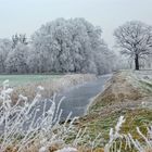 Rauhreif, bei Hoppenrade; Oberhavel