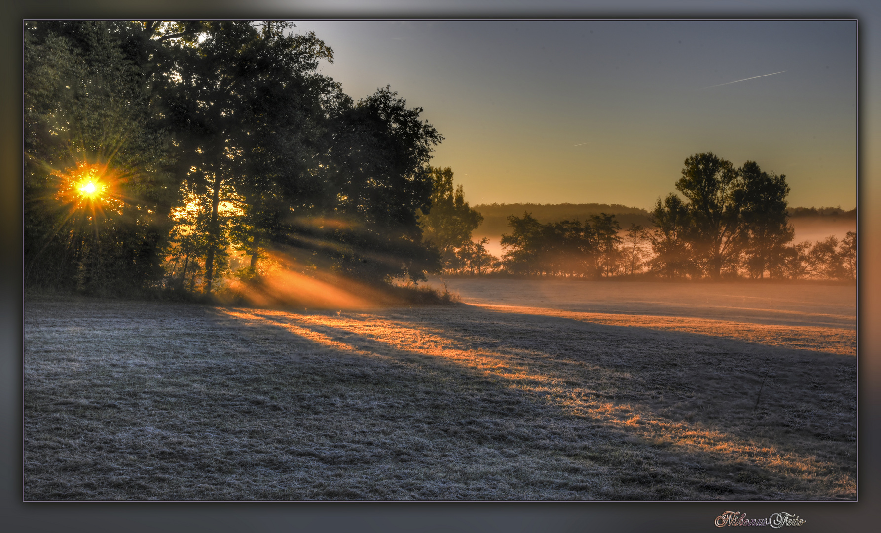 Rauhreif bei Sonnenaufgang