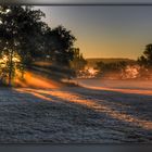 Rauhreif bei Sonnenaufgang