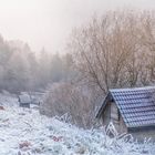 Rauhreif, fast so schön wie Schnee