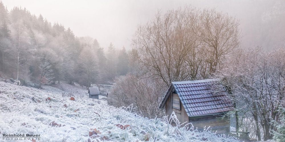 Rauhreif, fast so schön wie Schnee