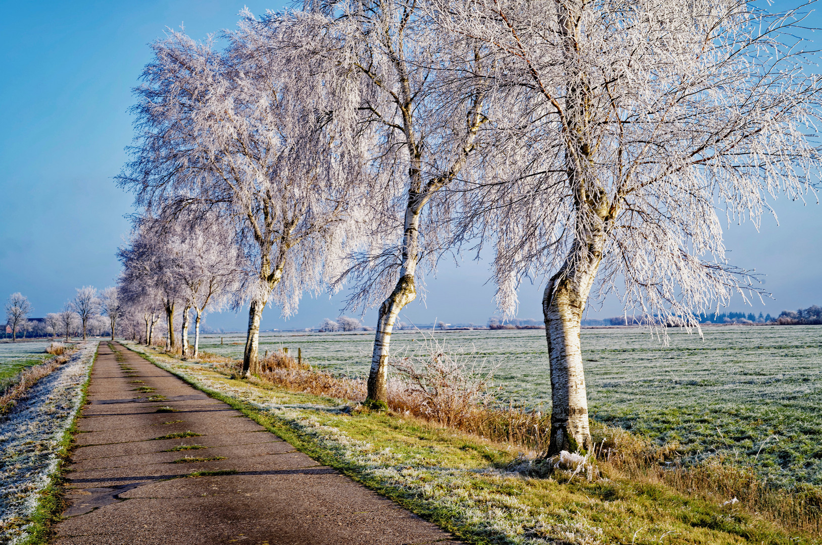 Rauhreif, Frost und Sonnenschein......