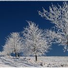 Rauhreif im Erzgebirge