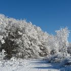 Rauhreif im Hahnenkamm