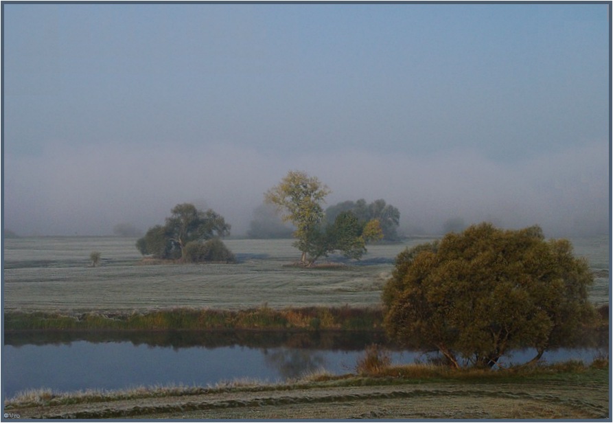 Rauhreif im Nebel