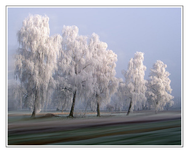 Rauhreif - Impressionen