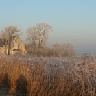 Rauhreif in Ostfriesland