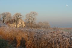 Rauhreif in Ostfriesland